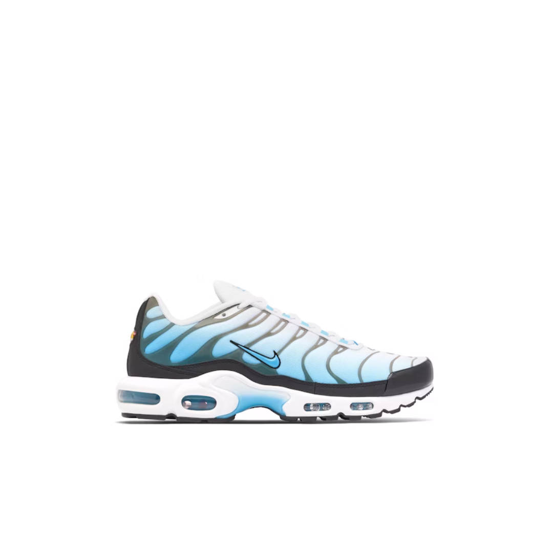 Air Max Plus Baltic Blue