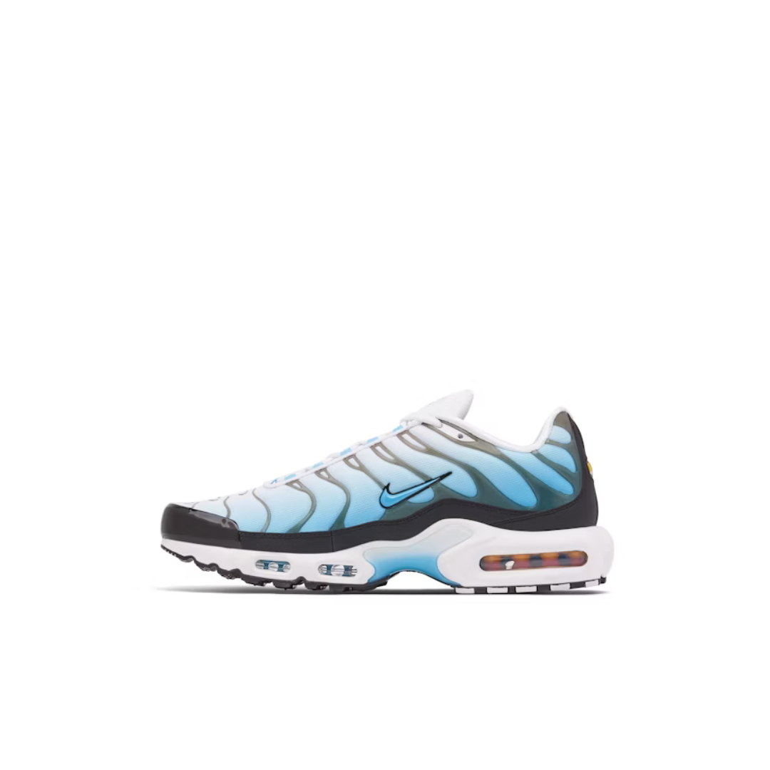 Air Max Plus Baltic Blue