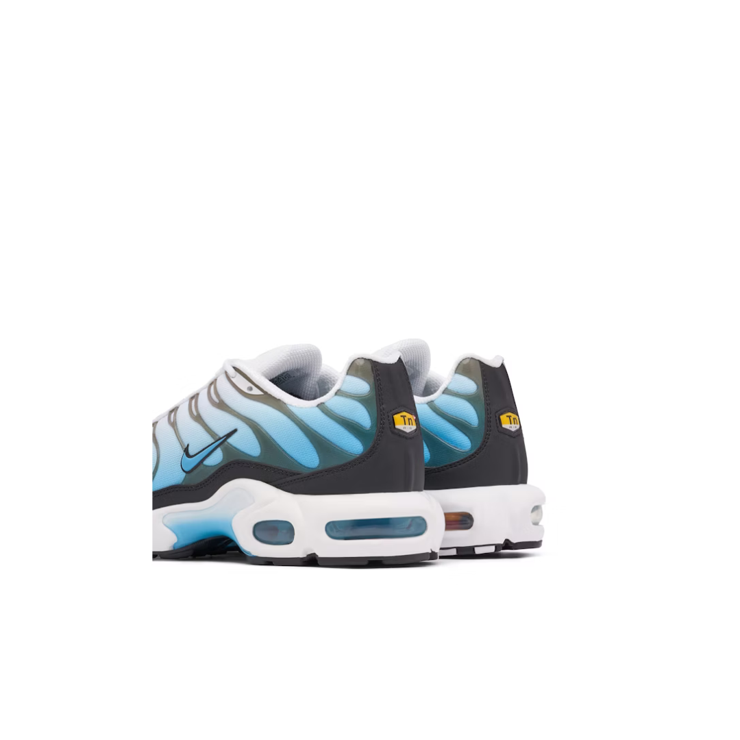 Air Max Plus Baltic Blue