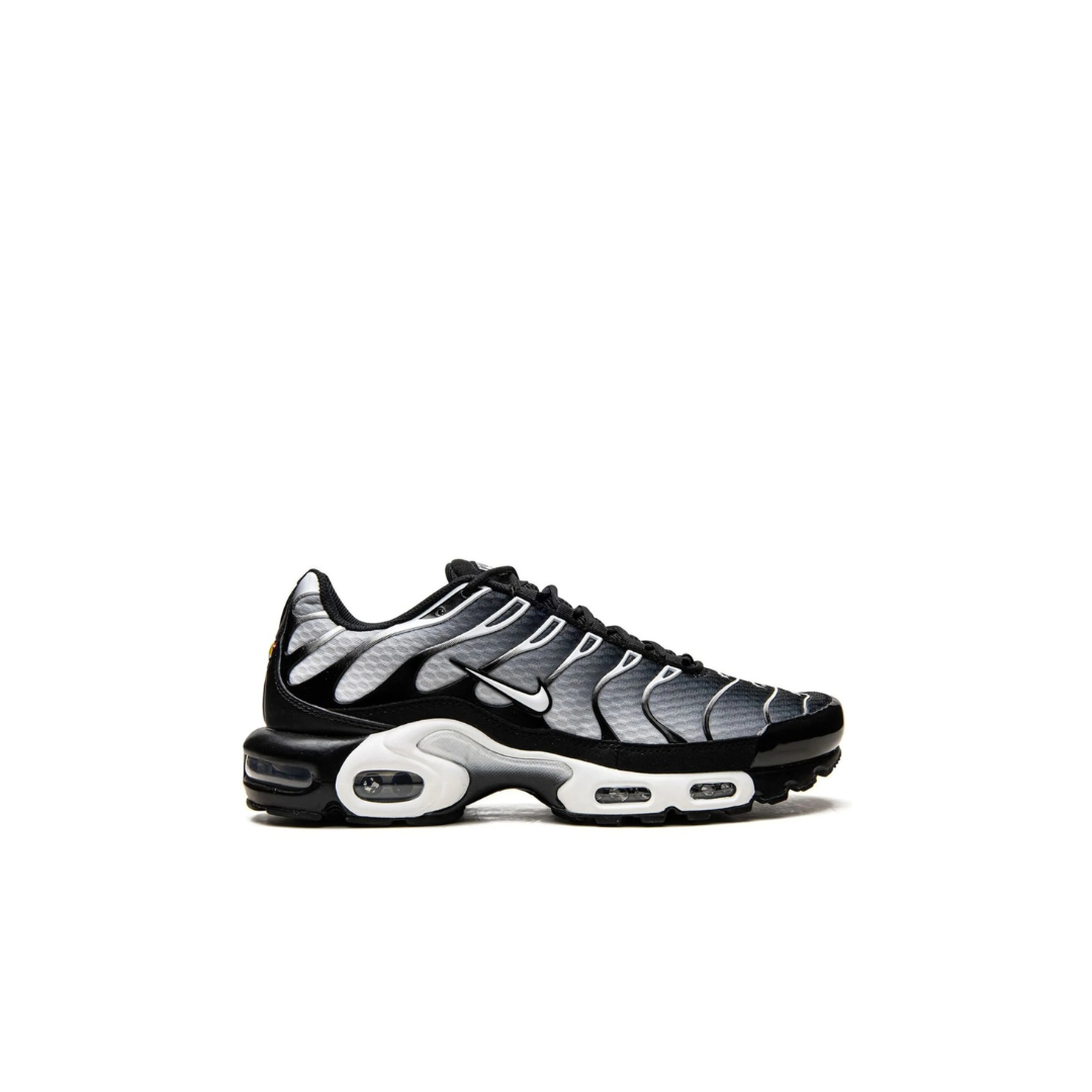 Air Max Plus Black/Silver