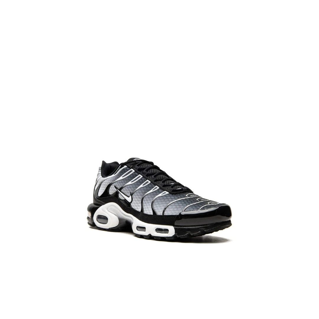 Air Max Plus Black/Silver